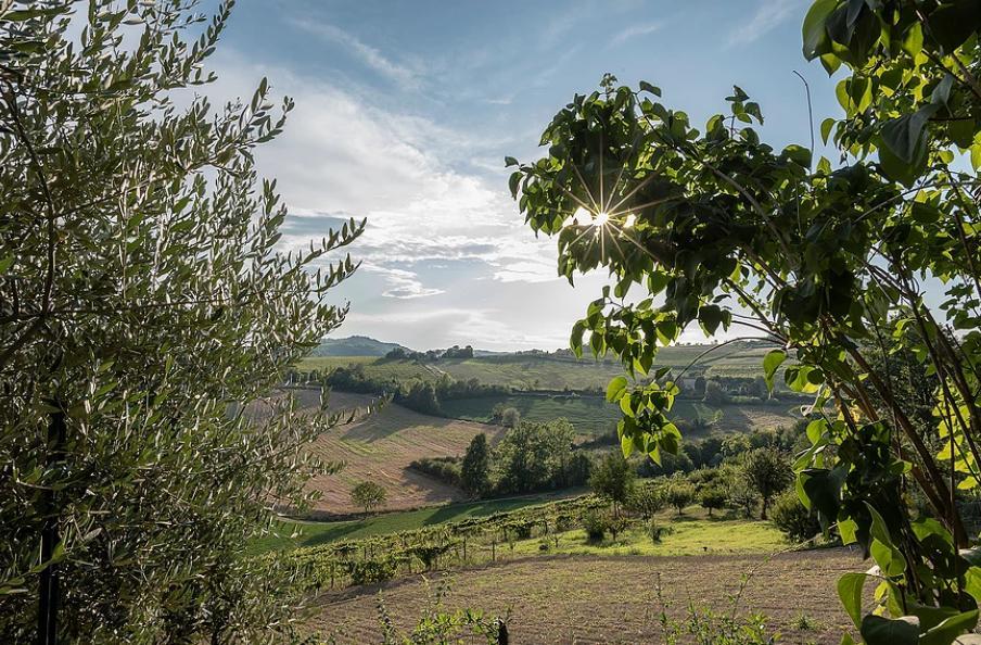B&B Carletto Cella Monte Exteriér fotografie