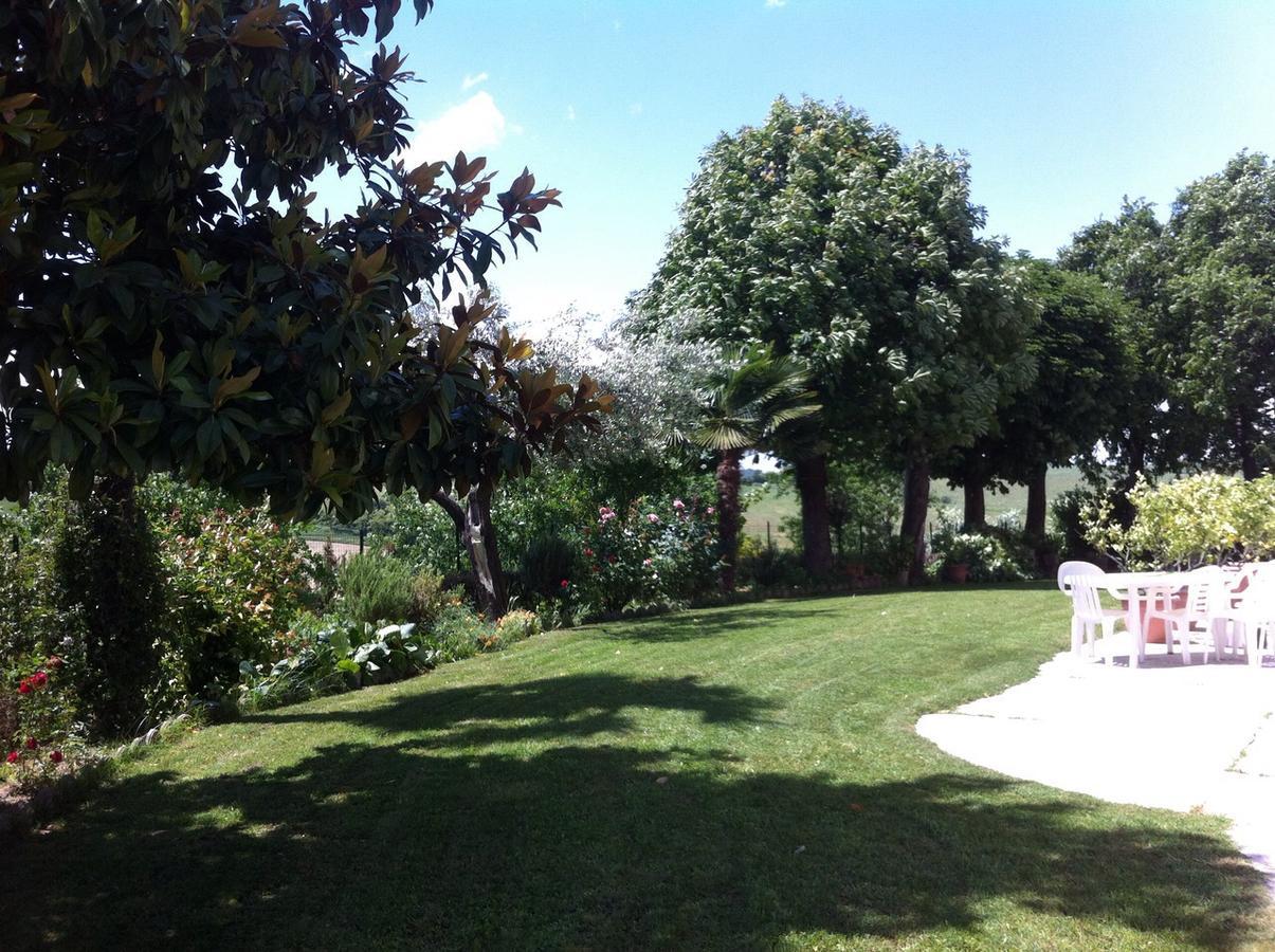 B&B Carletto Cella Monte Exteriér fotografie